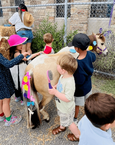 Mobile Pony Parties